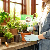 Miracle-Gro Indoor Potting Mix 42.5L
