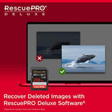 SanDisk 256GB Extreme PRO SDXC card + RescuePRO Deluxe, up to 200MB/s, UHS I, Class 10, U3, V30 SDSDXXD 256G GN4IN, Black-