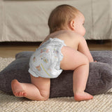 Huggies Little Movers Plus Diapers, Size 6 (116-Count)